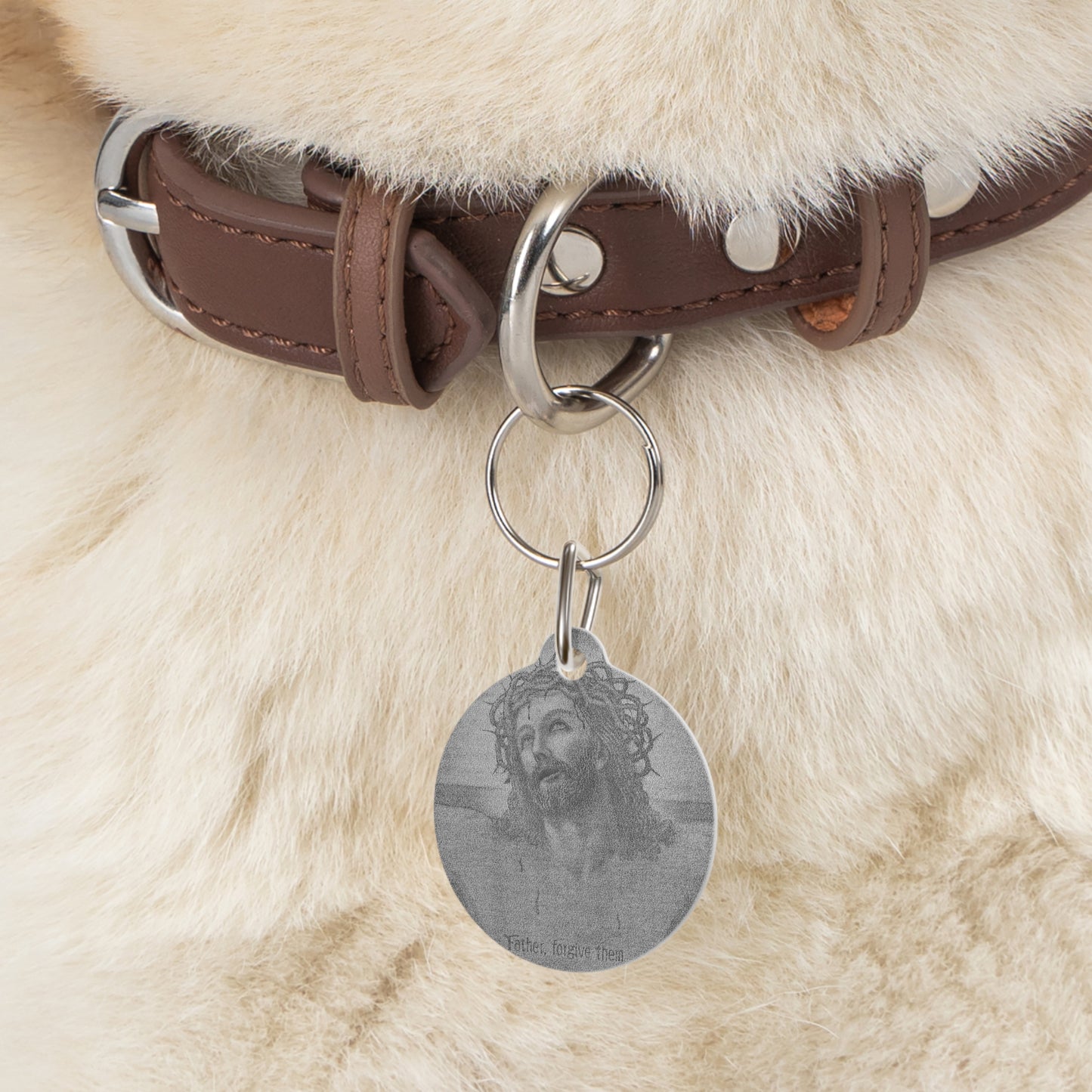 Christ in Words Pet Tag